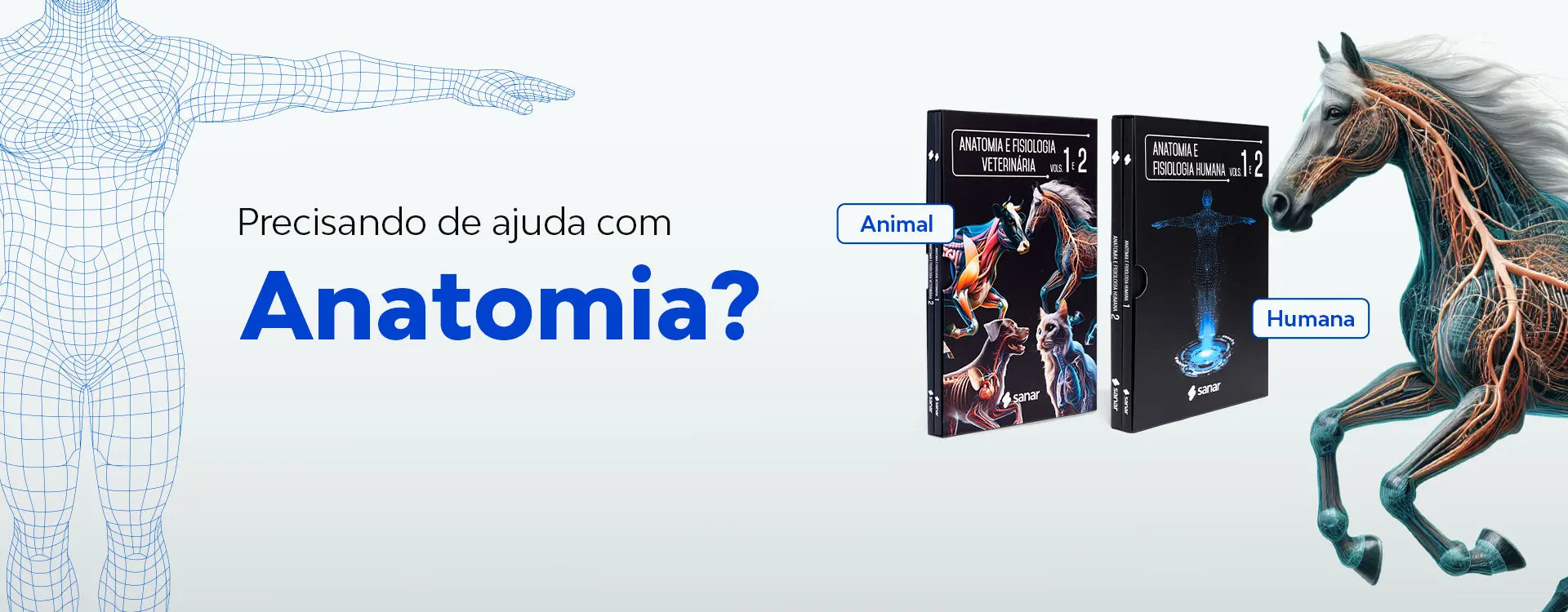 Sanar Saúde